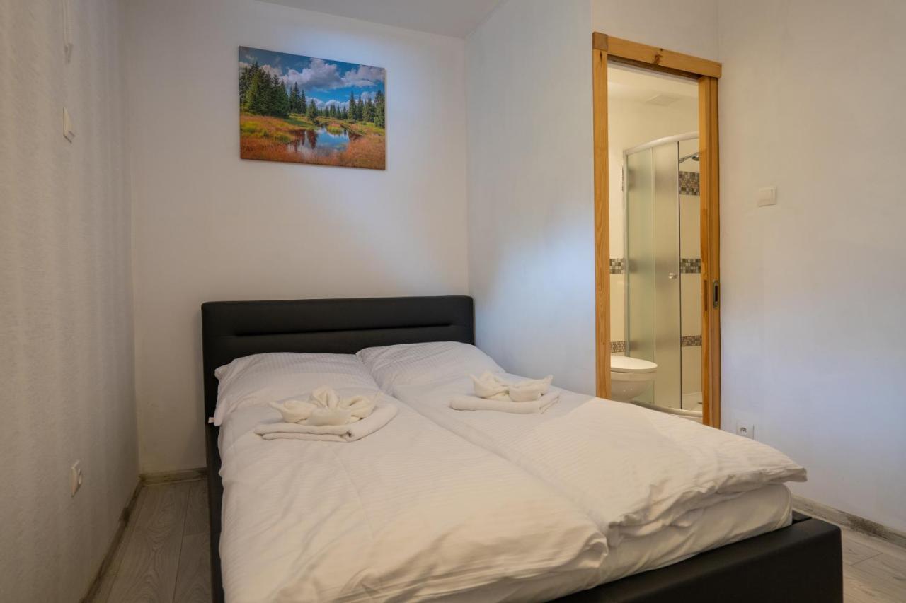 Karkonosky Apartamenty- Ściegny מראה חיצוני תמונה